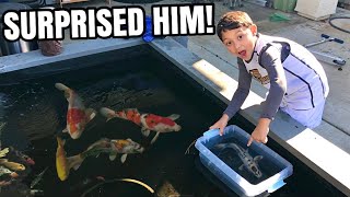 BOY GETS RARE KOI FISH FOR DIY BACKYARD KOI POND!