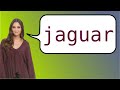 how to say jaguar in french