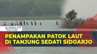 Misteri Patok Laut di Tanjung Sedati Sidoarjo, Nelayan Ungkap Ada Sejak 5 Tahun Terakhir!