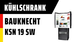 Kühlschrank Bauknecht KSN 19 SW | TEST | Deutsch