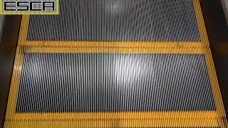 真上 エスカレーター 注意放送　東芝製 Toshiba escalator japan