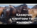 БӨРТЕ ДЕГЕН ҚАНДАЙ ТҮС Жылқы Түстері about horses