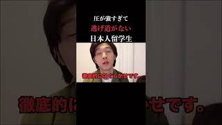 外国人ってがつがつ来る、、。#shorts #英語学習 #英会話 #さのふみ