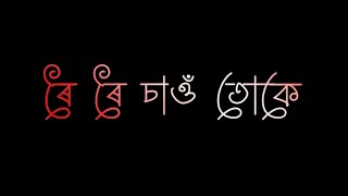 Roi Roi Sau Tuk || Assamese Black Screen Status Video || BSG 07 ||