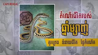 តំណើរជីវិតរបស់អ្នកកើតឆ្នាំម្សាញ់  | ហោរាសាស្ត្រខ្មែរ