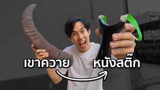 สร้างSlingshotด้วยเขาควาย🐃 ได้ไหม!?