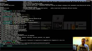 Narrated Headless Selenium Python example, done right