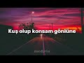 İkilem kördüğüm lyrics sözleri