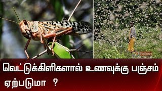 வெட்டுக்கிளிகளால் உணவுக்கு பஞ்சம் ஏற்படுமா? | Locust Attack in Kenya