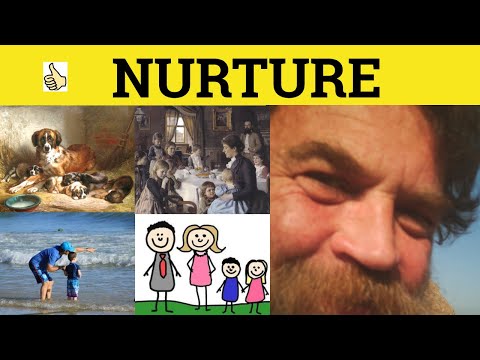 What is meant by nurture examples?