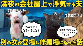 「ここなら誰も来ないから…」屋上で浮気相手と密会した夫が地獄を見る話【猫ミーム】