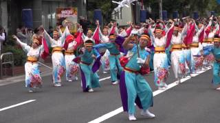 よさこい塾・ありがた屋（安濃津よさこい2015）一日目・裁判所前会場②