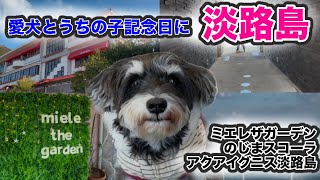 愛犬と淡路島に行ったよ【アクアイグニス、のじまスコーラ、ミエレザガーデン】