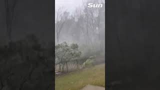 Tornado-warned storm lashes South Carolina yard #shorts
