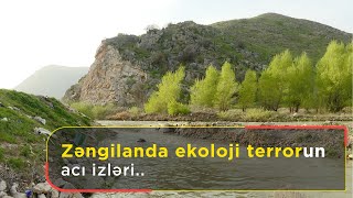 Zəngilanda ekoloji terrorun acı izləri..