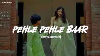 Pehli Pehli Baar Mohabbat Ki Hai [90's-Slowed+Reverb] | Kumar sanu | Alka yagnik🥀90's hit's lofi