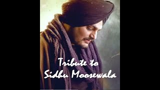 Tribute to Sidhu Moosewala #shorts #sidhumoosewala #sidhumossewala #sidhumoosewalanews
