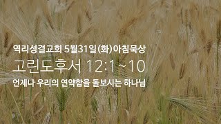 역리성결교회 5월31일(화요일) 아침묵상 / 고린도후서 12:1~10 / 언제나 우리의 연약함을 돌보시는 하나님 / 이성일목사