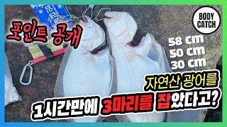 1시간만에 광어 3마리(58cm, 50cm, 30cm)가 쏟아진 석문방조제 포인트를 공개합니다.(feat. 석문방조제, 만대)