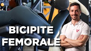 Bicipite femorale: anatomia ed esercizi