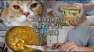 30대 서울대백수와 고양이들의 이 시국 집콕 브이로그/자취생 카레 김치찜 만들기/