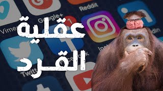عقلية القرد : كيف ندمر قدرتنا علي التطور يومياً ؟!