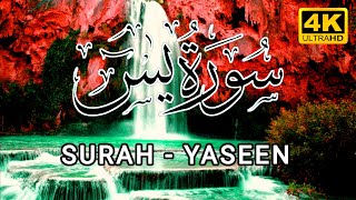 Surah Yasin | Surat Yaseen | Quran Surah Yasin Official | Hafiz Arshad Ahmad Official