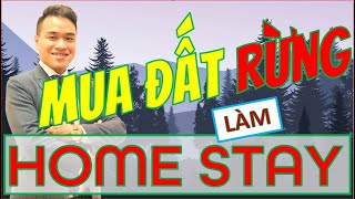 Mua Đất Rừng Sản Xuất Làm Trang Trại, Nghỉ Dưỡng, Home Stay Có Nên Hay Không| Lưu Ý Khi Mua Đất Rừng