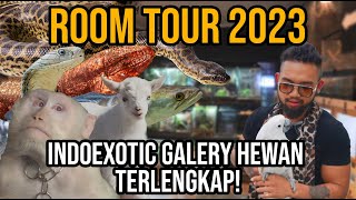 ROOM TOUR 2023! INDOEXOTIC GALERY HEWAN TERLENGKAP!!