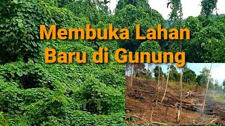 CARA MEMBUKA LAHAN BARU UNTUK BERKEBUN DI HUTAN RIMBA‼️ Buka Hutan Langsung Jadi Kebun Yang Indah