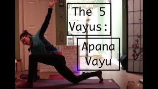 The 5 Vayus: #2 APANA VAYU practice- LauraGyoga