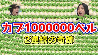 【どうぶつの森】１００万ベルのカブを一瞬で〇〇〇〇〇〇〇ベルにする奇跡の大儲け！！【みず森】