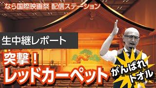 #3.9 9/19 配信ステーション特別編 レッドカーペット生中継「なら国際映画祭2022 LIVE配信」