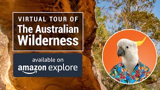 AMAZON EXPLORE EXPERIENCES - The Australian Wilderness