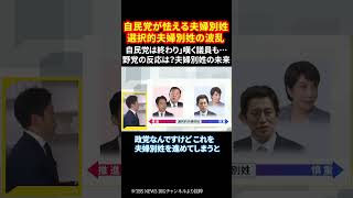 自民党が怯える夫婦別姓 選択的夫婦別姓の波乱 自民党は終わり」嘆く議員も… 野党の反応は？夫婦別姓の未来 #夫婦別姓 #自民党崩壊 #LGBT理解増進法 #選択的夫婦別姓 #shorts