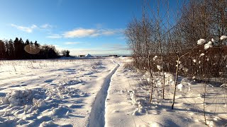 Jalutuskäik Kiili vallas + künka tippu minek 13.01.2025