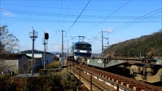 JR貨物 EF210-901号機[岡]+コキ20B　貨物列車1061レ【熊谷通運U52Aコンテナ積載!!】