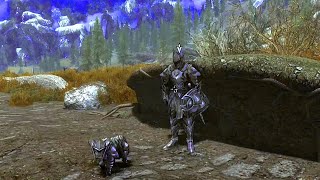 Encountering the Ebony Warrior at level 80 😱 #skyrim #youtube  #Gaming