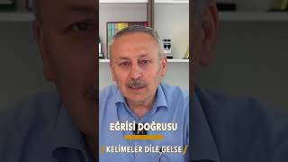 Kelimeler Dile Gelse #kelimeler #eğrisidoğrusu #dil #türkçe #dilimiz