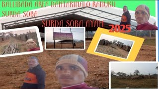 ballibada Area dantarinalo /ranuku surda soba/surda soba Ayam 2025