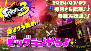 スプラトゥーン3 参加型 ライブ／ビッグラン！いっぱい金イクラ集めよう(｀･ω･´)🐟／サーモンラン　女性実況　#shorts