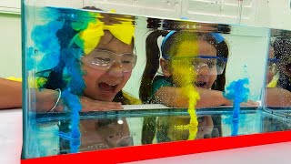 Jannie and Ellie Sink or Float Home DIY Science Experiments for Kids | Science Projects Videos