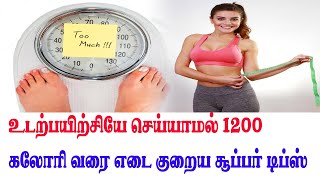 Weight Loss Tips In Tamil உடற்பயிற்சி செய்யாமல் தினமும் 1200 கலோரிகளை எரிக்கணுமா?