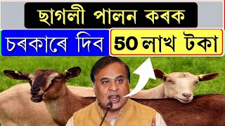 ছাগলী পালন কৰক 50 লাখ চৰকাৰে দিব || Goat farming loan || Goat farming loan process