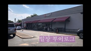 미국 일상 Vlog | 끝나지 않은 집 정리, 한인마트 장보기, 출퇴근 일상