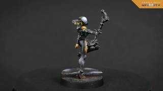 Ninja, Operation: Red Veil exclusive miniature 360º view