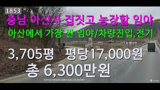 [번호 1853)충남 아산시에서 가장 싼 임야 급매물