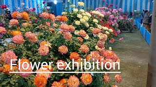 Flower Exhibition 2025 ll Indian Flower Show ll