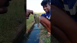 மாமா பையன் ❗ பிடித்த வஞ்சரம் 🐟மீன் #shorts #fishing #villagelife #trending