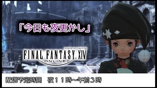 【FF14】初見でアメノミハシラ行くよ【anima鯖】